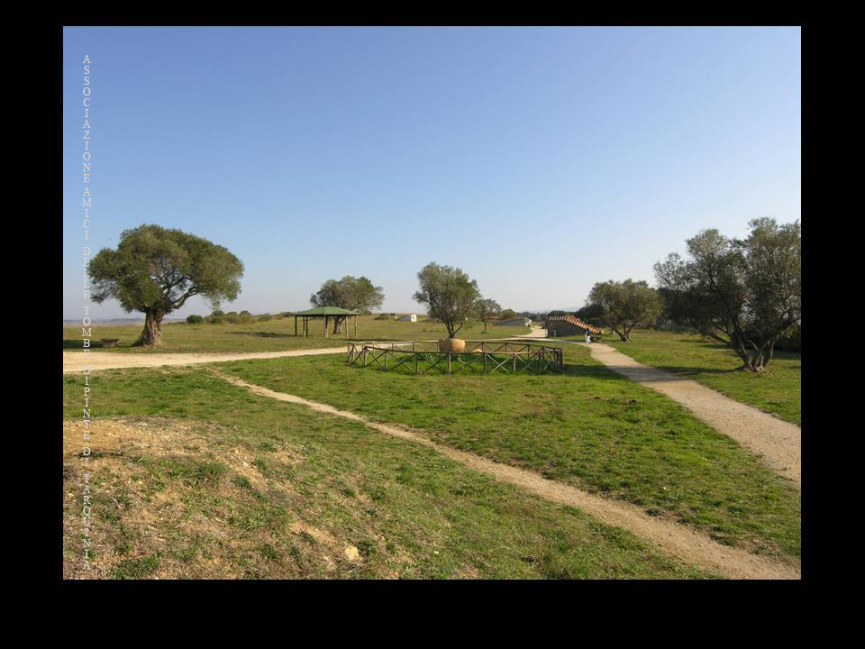 Necropoli etrusca dei Monterozzi - Amici delle Tombe Dipinte Di Tarquinia - Associazione noprofit per la conservazione e valorizzazione della necropoli etrusca