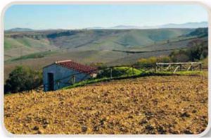 Dona 50 € - Fundraising Amici delle Tombe Dipinte di Tarquinia