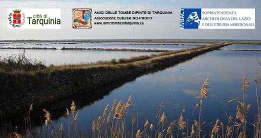 Saline